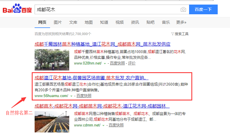 成都花木,成都苗木简单的指导直接上百度首页
