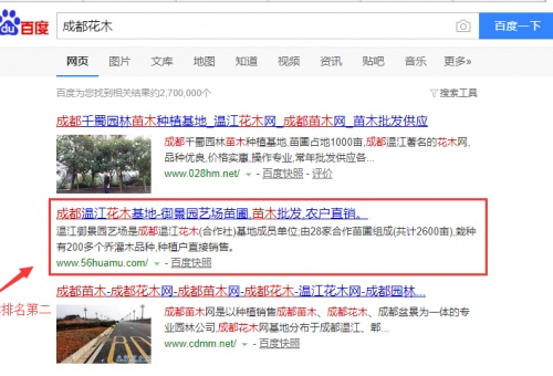 成都花木,成都苗木简单的指导直接上百度首页